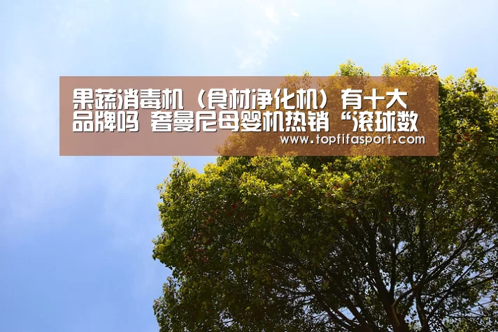 果蔬消毒机(食材净化机)有十大品牌吗 奢曼尼母婴机热销“滚球数据”(图2) 球队分析